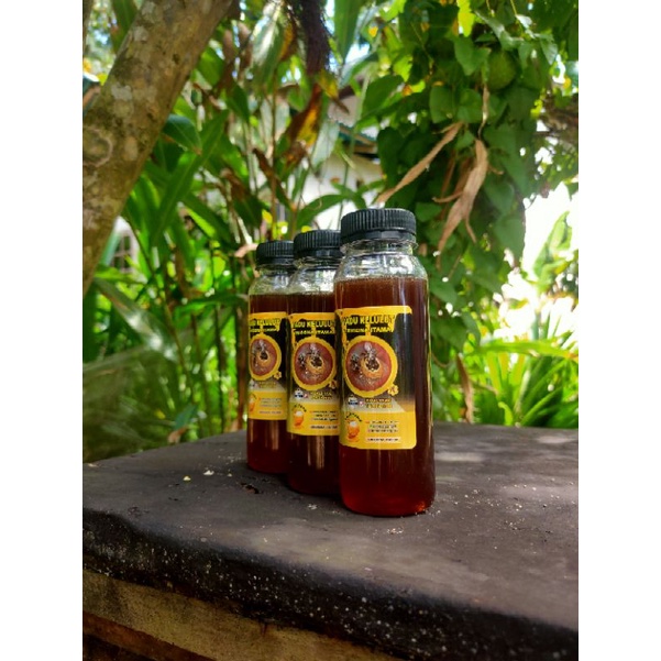 

Madu klanceng itama 250 ml [ 3 x 250 ml ]