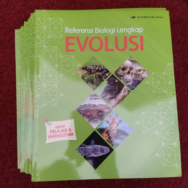 EVOLUSI ERLANGGA BEKAS BAGUS