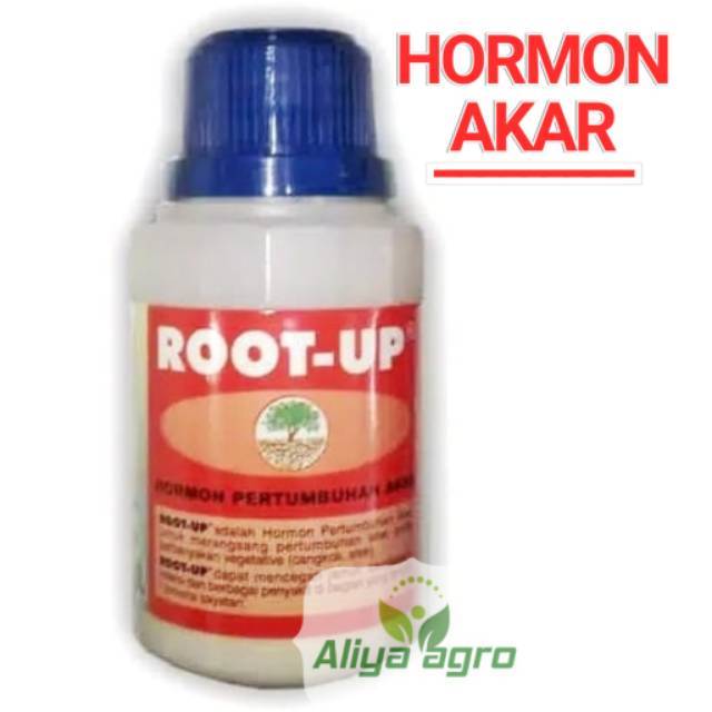 Root up hormon akar