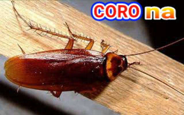 Tunik Batik Wanita Sogan Terlaris M L Xl Xxl