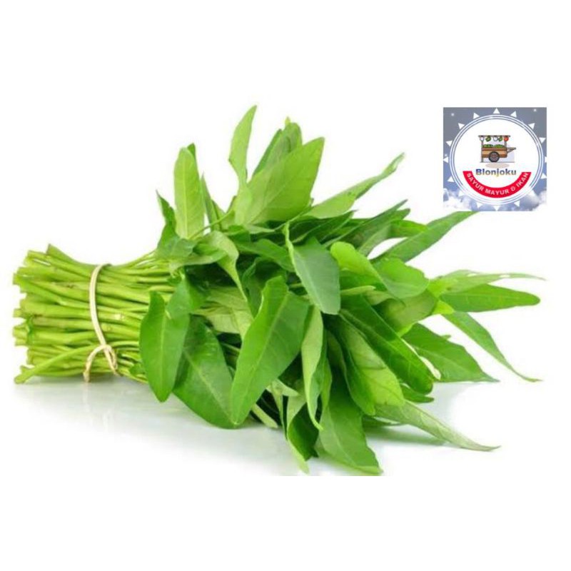 

KANGKUNG 1 IKAT, SURABAYA