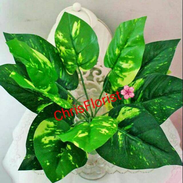 Daun Aglonema Plastik Palsu Buatan Plastic Sintetis Dekorasi Hiasan Artificial 217