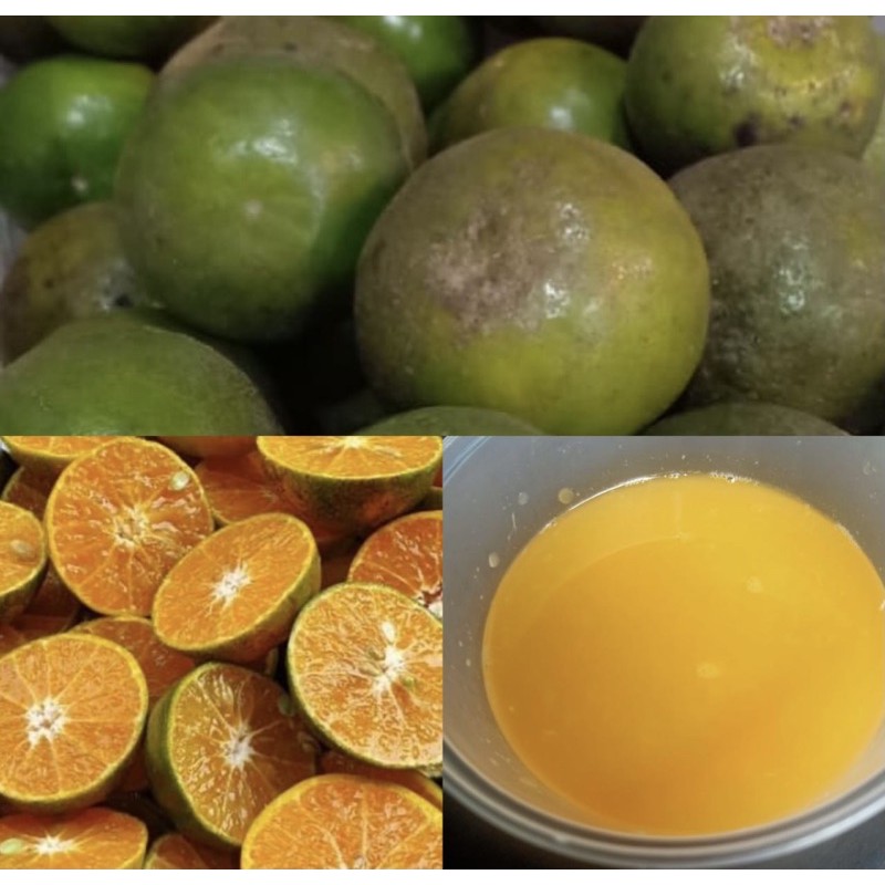 

jeruk peras semboro 5kg