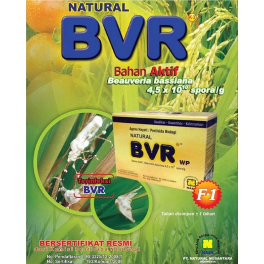 PRODUK- NATURAL BVR - OBAT PEMBASMI HAMA - OBAT HAMA - MENGATASI HAMA TANAMAN - BVR .