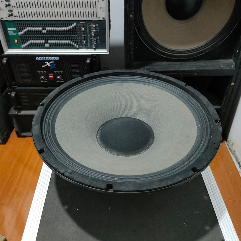 Speaker 15 Inch 450 Watt Elsound Audio