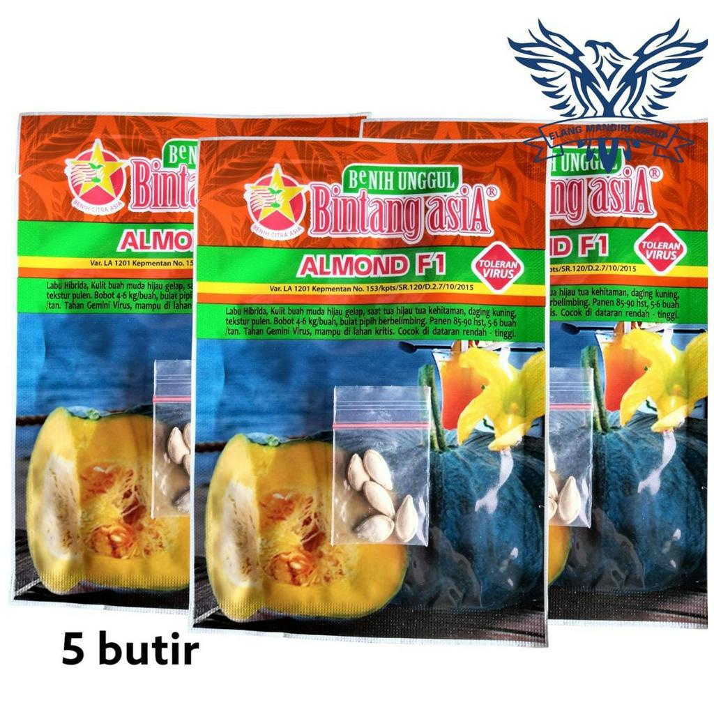 Repack 2000an Benih Bibit LABU ALMOND F1 Bintang Asia - Kusuma f1 Cocok Untuk di Pekarangan