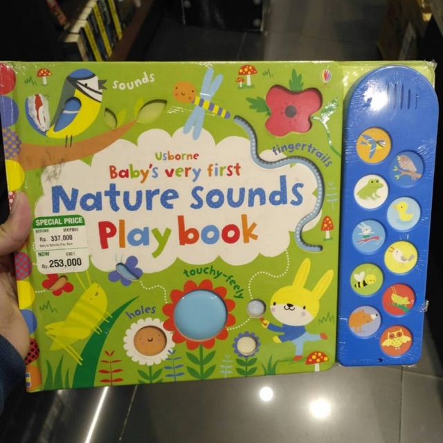 Usborne soundbook