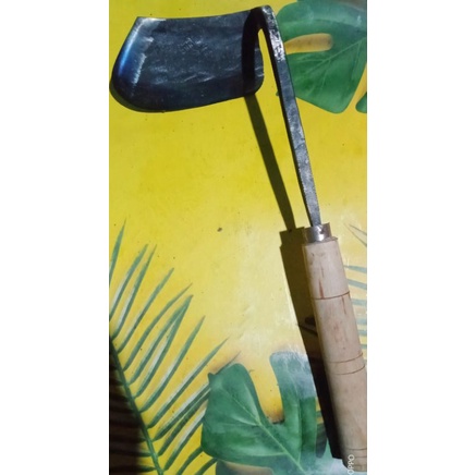 PISAU RUMPUT, GATHUL CANGKUL KECIL RUMPUT