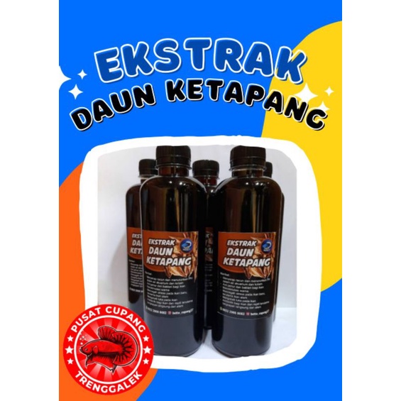 ekstrak daun ketapang original 250 ml