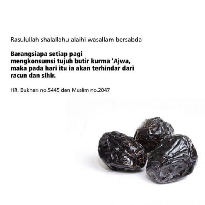 

Promo Spesial - Kurma Ajwa / Nabi 1 Kg Asli Madinah Premium Quality