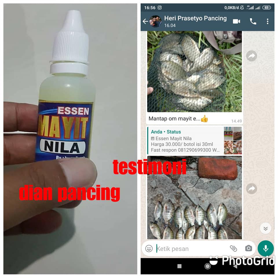 Essen Mayit Nila Isi 30 ml / Essen Mayit / Essen Nila