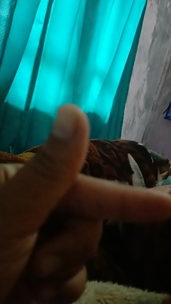 Sarung Bantal Motif Club Bola