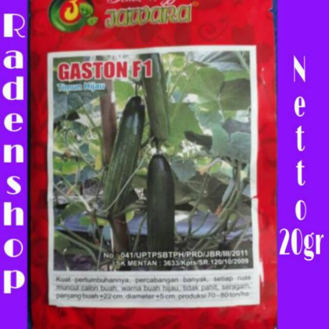 Benih Bibit Timun Hijau GASTON F1 / Biji Timun Lalap / Bibit Timun Lalap / Benih Timun Lalap/Timun