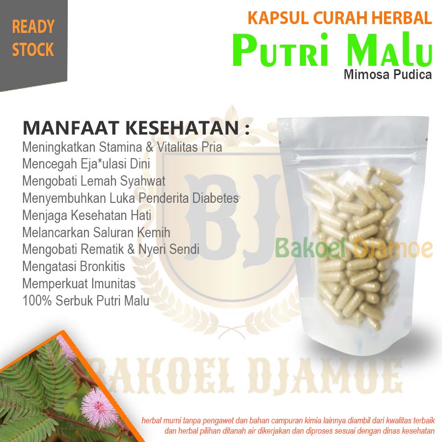 

Kapsul curah herbal putri malu kapsul herbal stamina pria jamu kuat