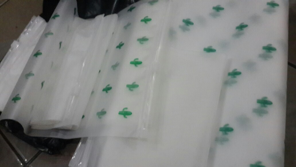 Batamgrosir.id | Kantong Storage Bag Ziplock Motif Kaktus Sedang Part 1