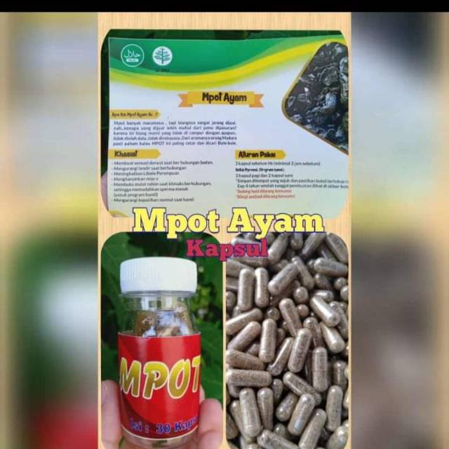 

Mpot ayam asli madura