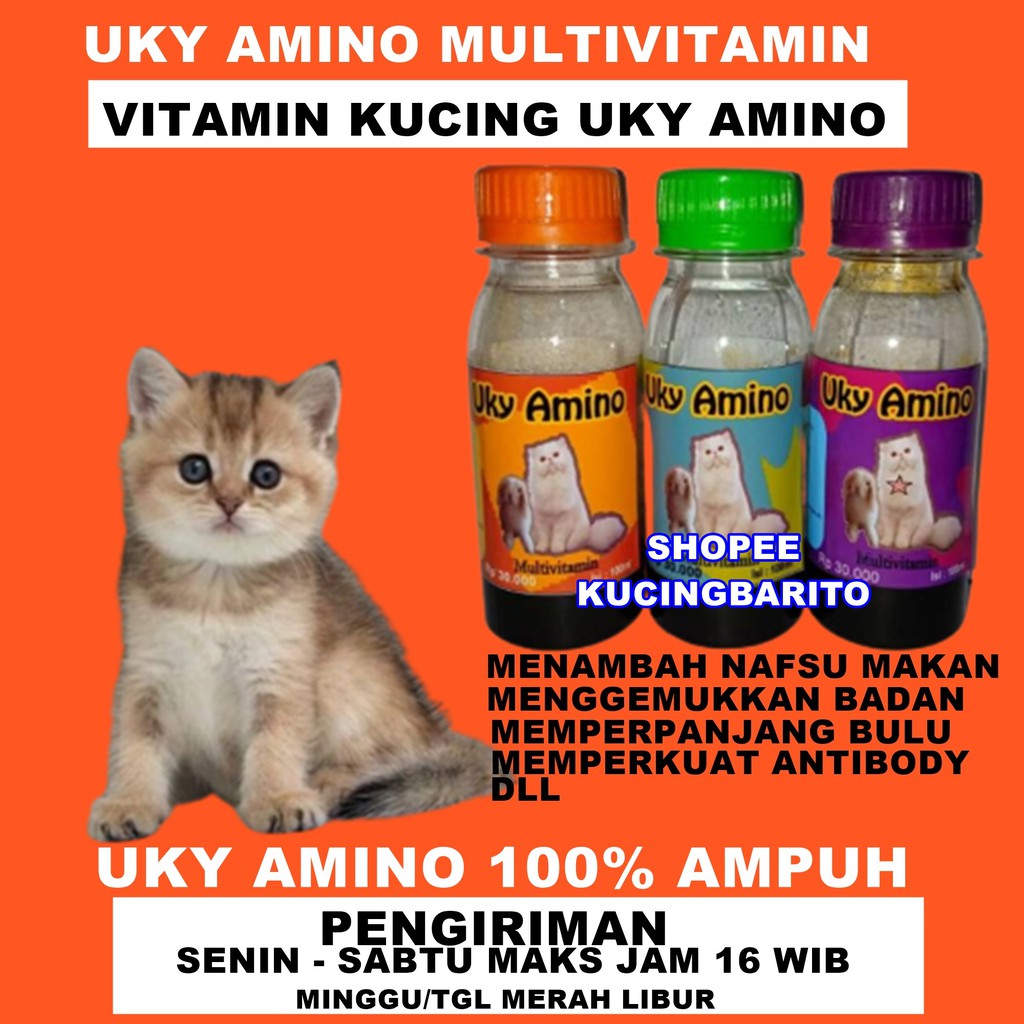 Harga Uky Vitamin Kucing Gemuk Terbaru Juli 2021  BigGo Indonesia