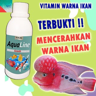 57 Aquarium Koki Berkabut Gratis Terbaru