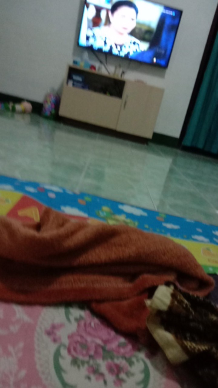 Botol Galon 12 Liter