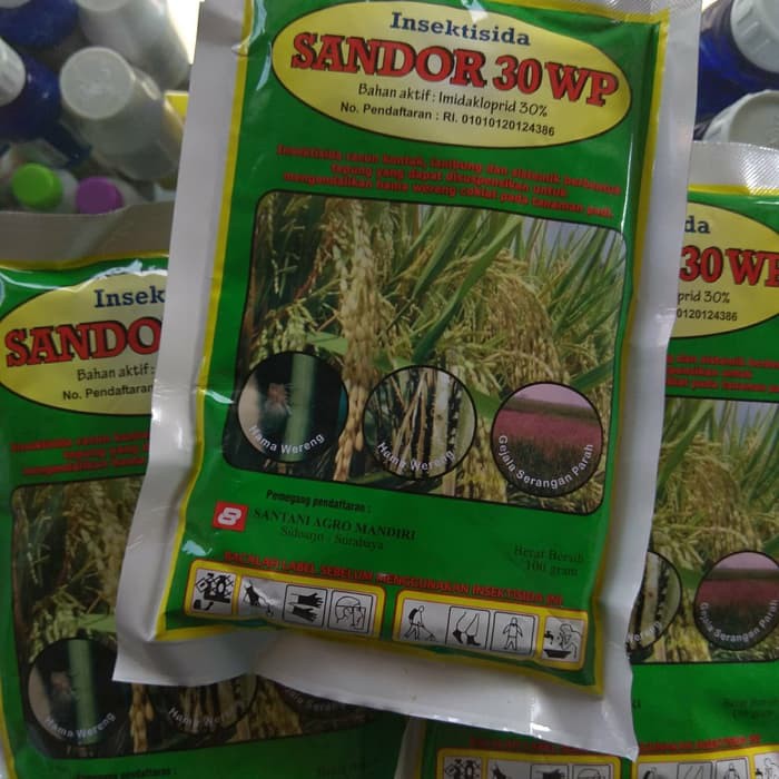 Insektisida Kutu Kebul Sandor 30WP