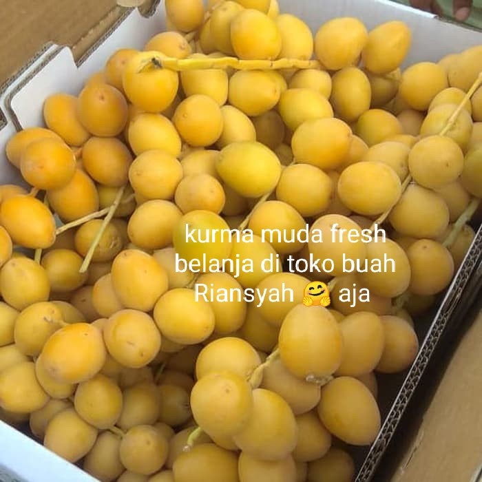 

Kurma Terbaru - Kurma Muda Fresh No Forzen Harga Per/Dus 4Kg