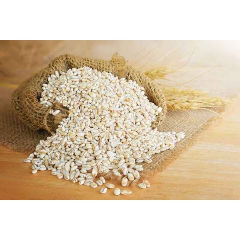 

NATURAL PEARL BARLEY 1KG / JALI JALI ORGANIK 1KG