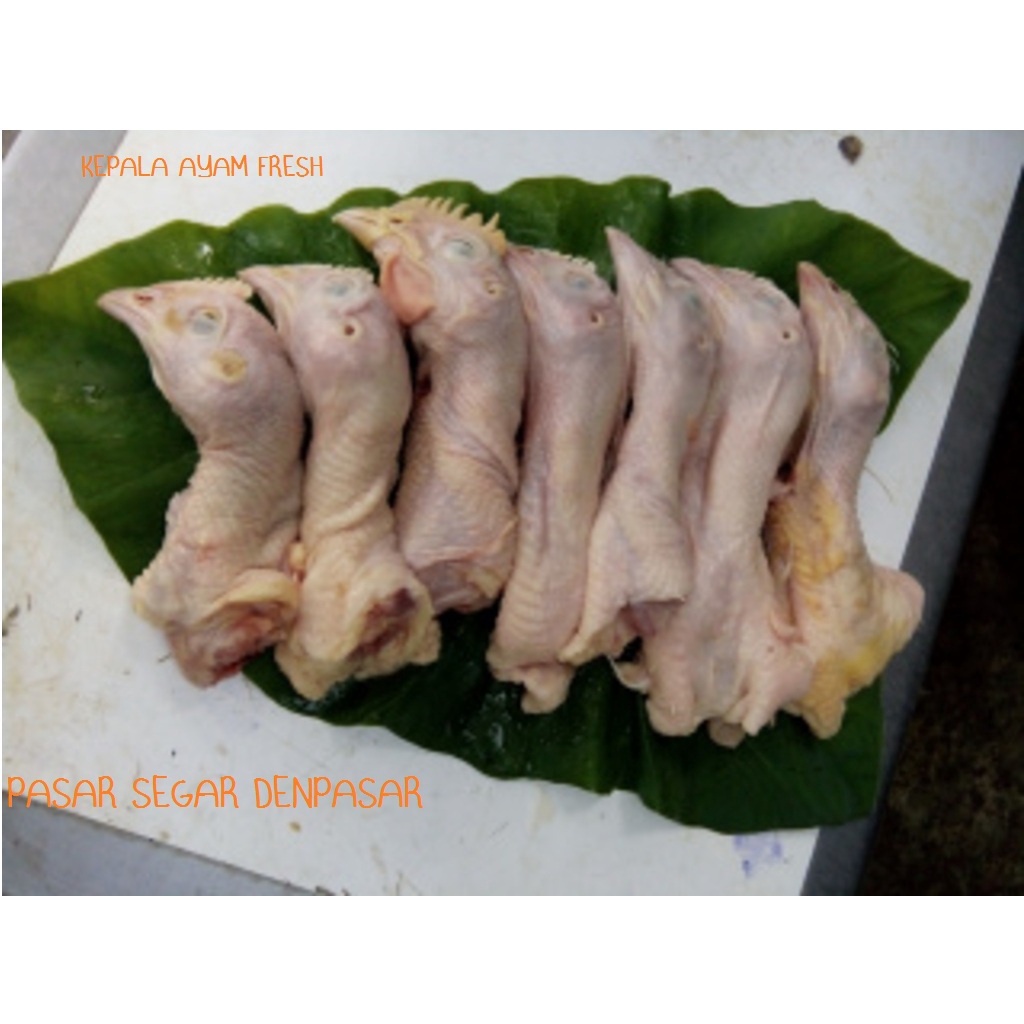 

KEPALA AYAM