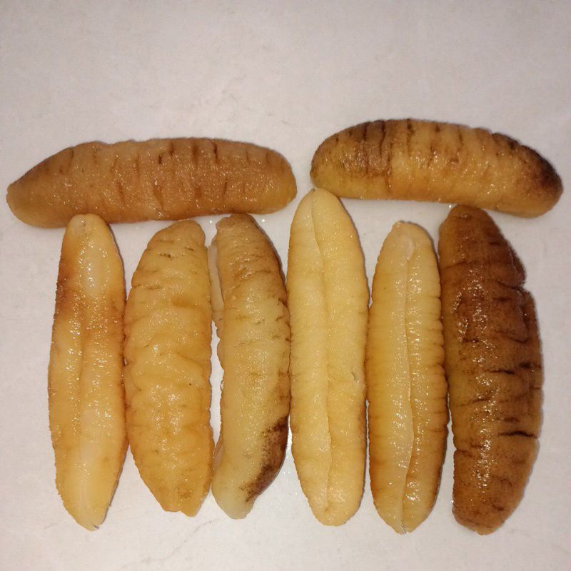 

haisom hoisem teripang GRADE B 500gr