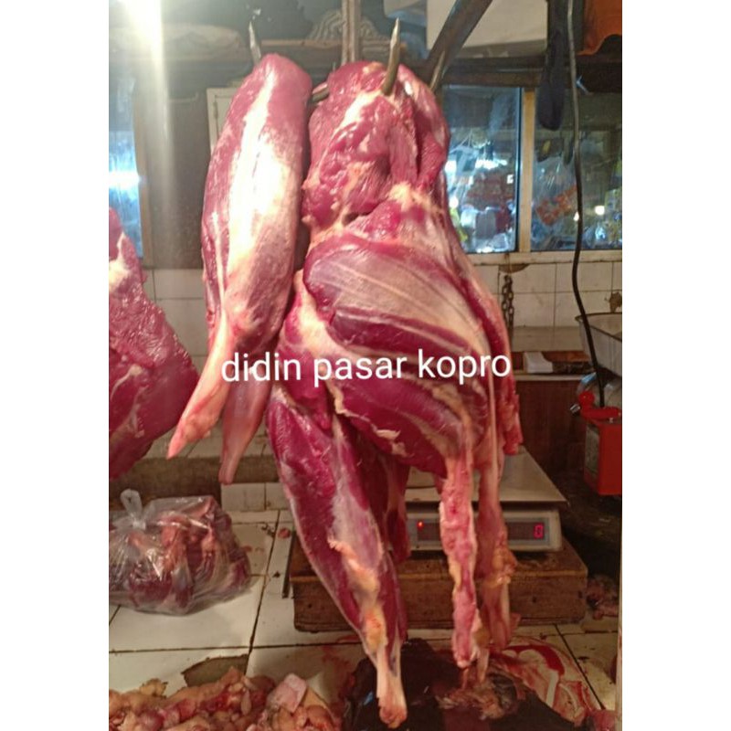 

sengkel sapi
