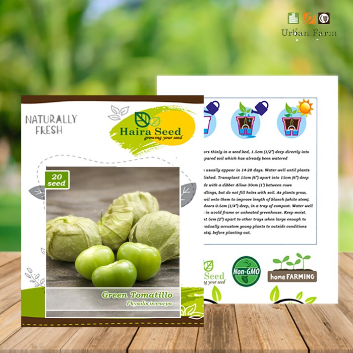 Benih-Bibit Ciplukan Green Tomatillo Organik (Haira Seed)