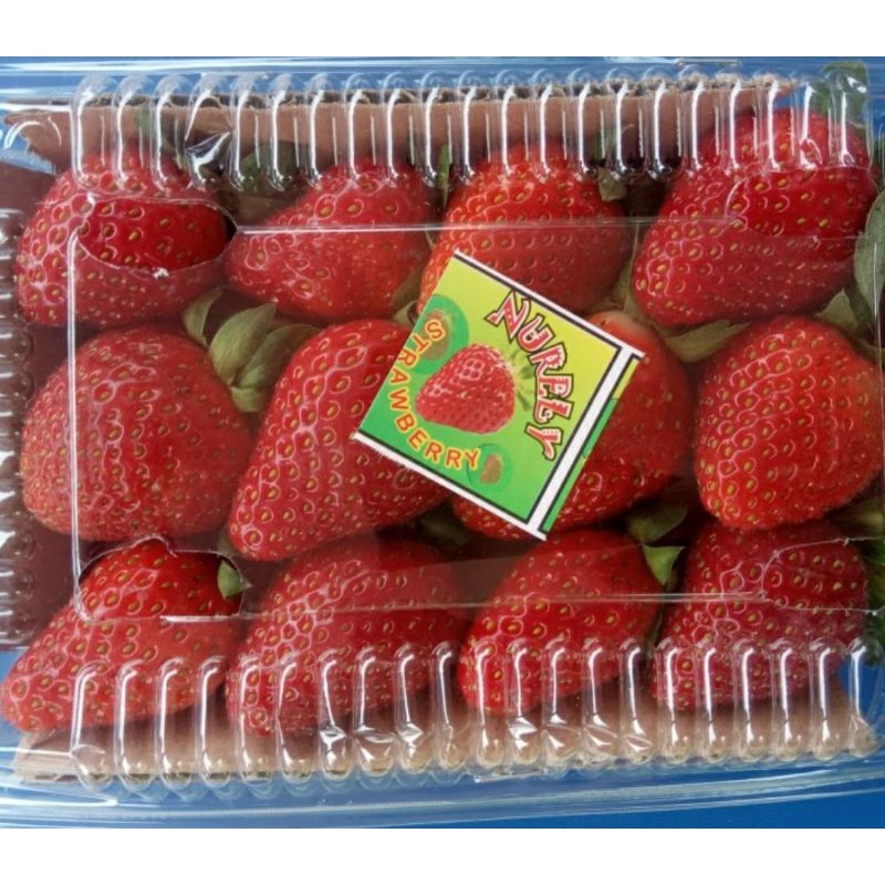 

STRAWBERRY ORGANIK BESAR