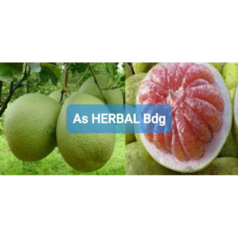 

Jual buah jeruk bali merah / buah jeruk