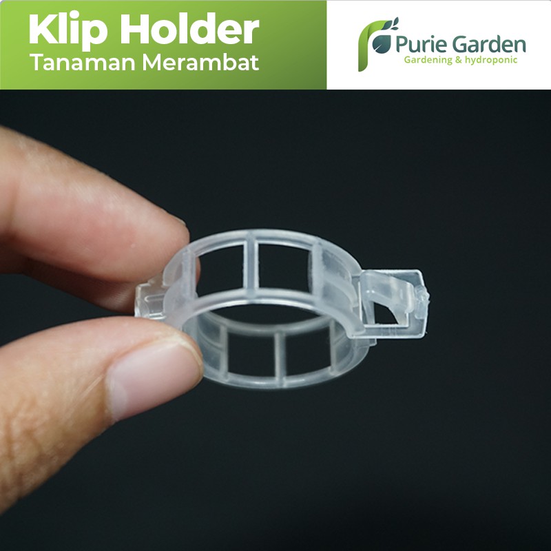 Clip Holder Klip Tanaman Merambat PG SBY