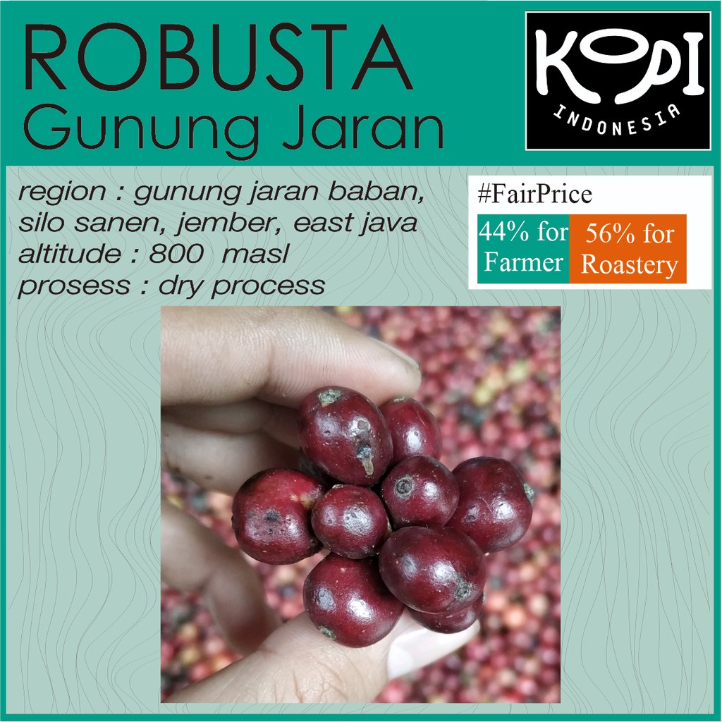 

1kg Biji Kopi Petik Merah Robusta Jember Baban Silo Sanen Belum Sortasi OC Greenbean