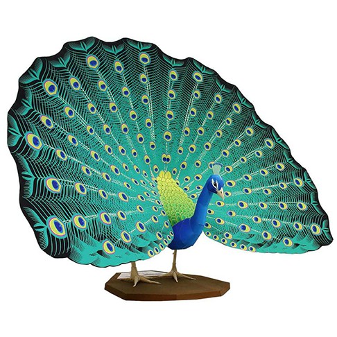 DIY Model Kertas Satwa Angkasa Merak India (Indian Peafowl)