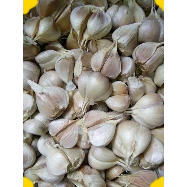 

Bawang Kating Bersih