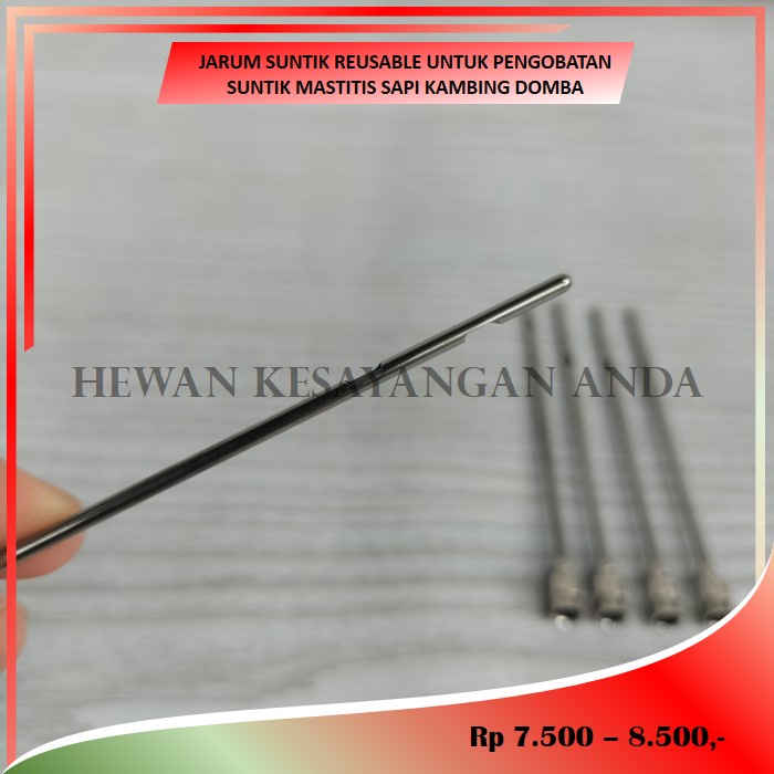Jarum Suntik Tumpul Reusable Untuk Pengobatan Suntik Mastitis Ambing Sapi Kambing Domba