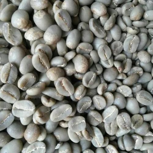 

Organic Luwak Coffee Greenbean 1 KG