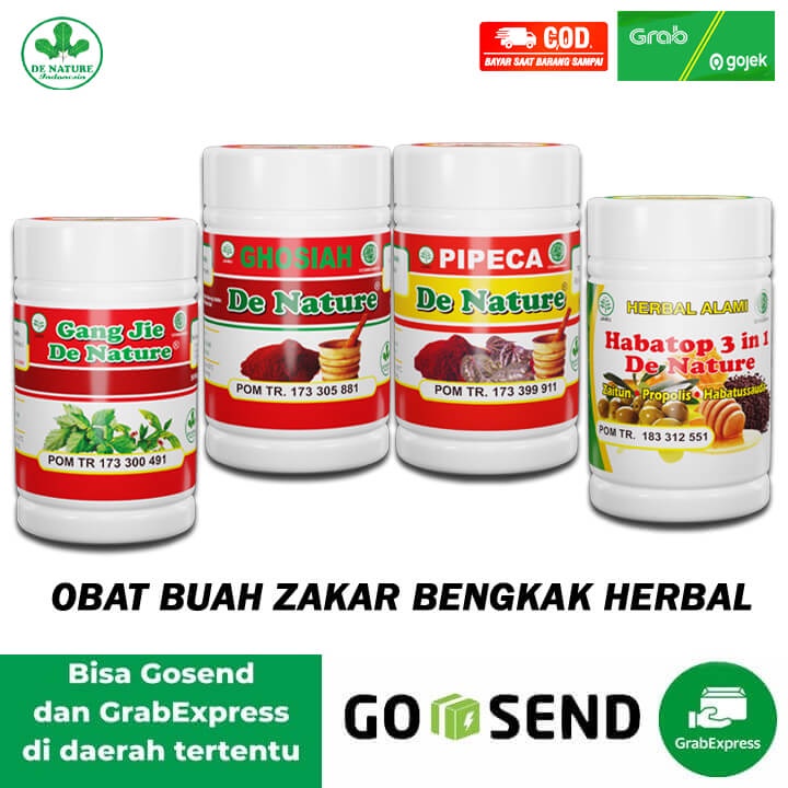 Obat Varikokel Hidrokel Testis Bengkak Testis Sakit