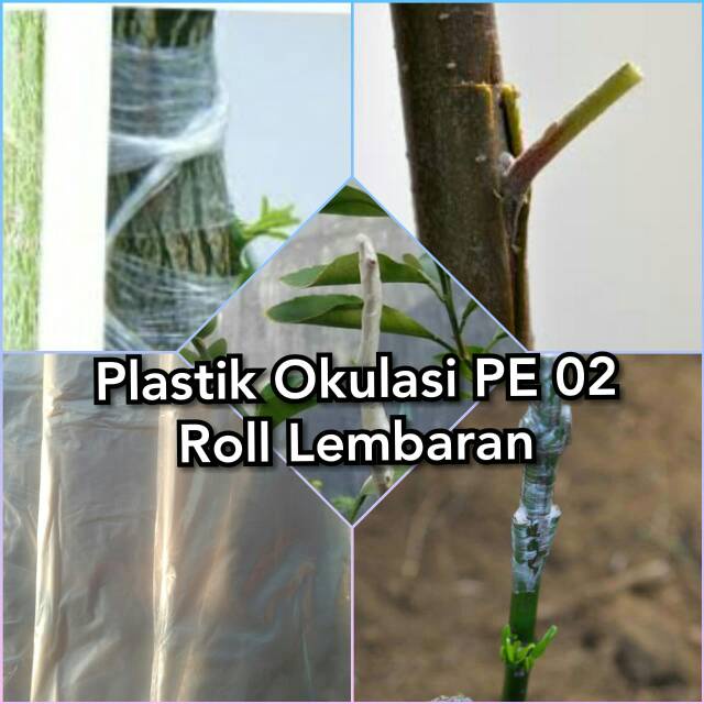 PLASTIK PE 02 - Plastik Stek - Plastik Okulasi