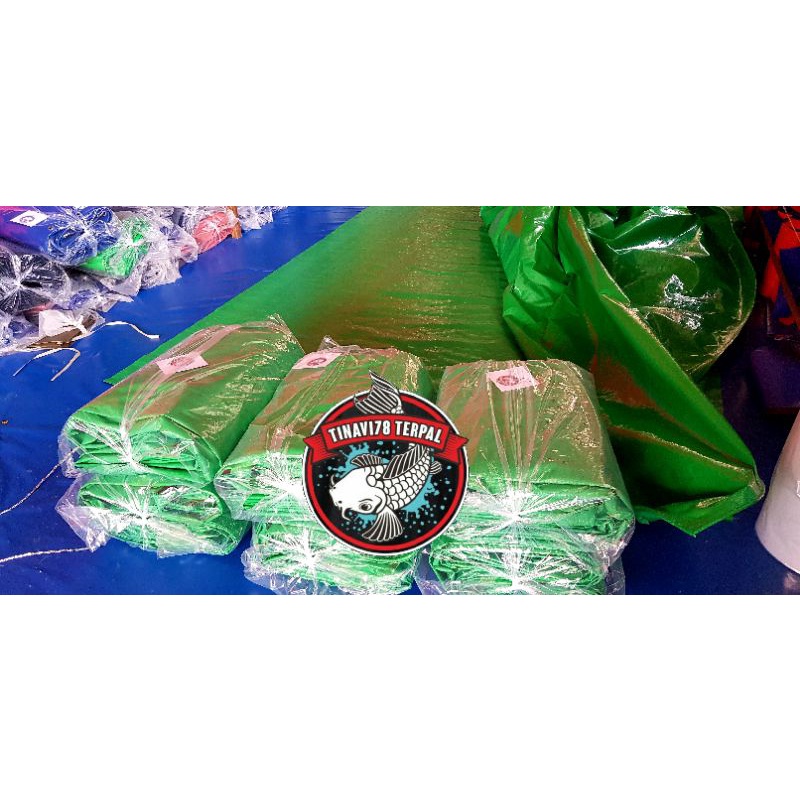 TERPAL PLASTIK 4X6 MTR