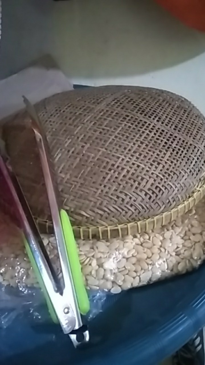 Tanggkok Bambu Besar Tanggok Buah Sayuran / Gorengan