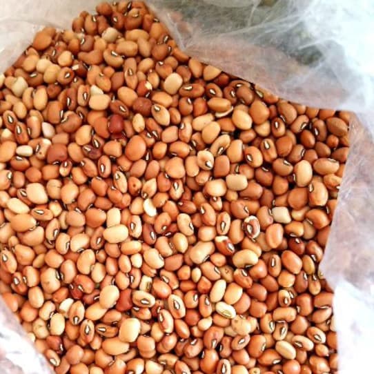 

PASAR SEGAR - KACANG TOLO 250GR