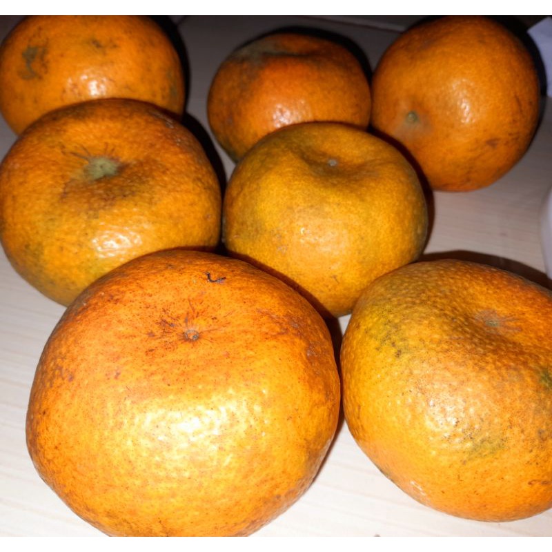 

Jeruk manis besar/Jeruk manis jumbo