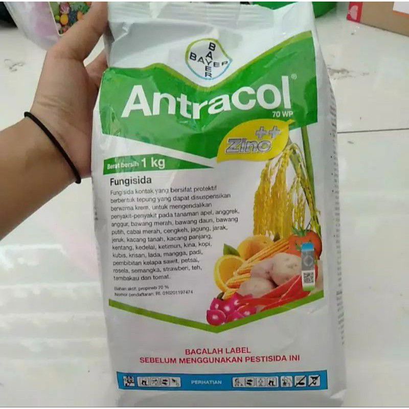 ANTRACOL KEMASAN 500GRAM DAN 1KG