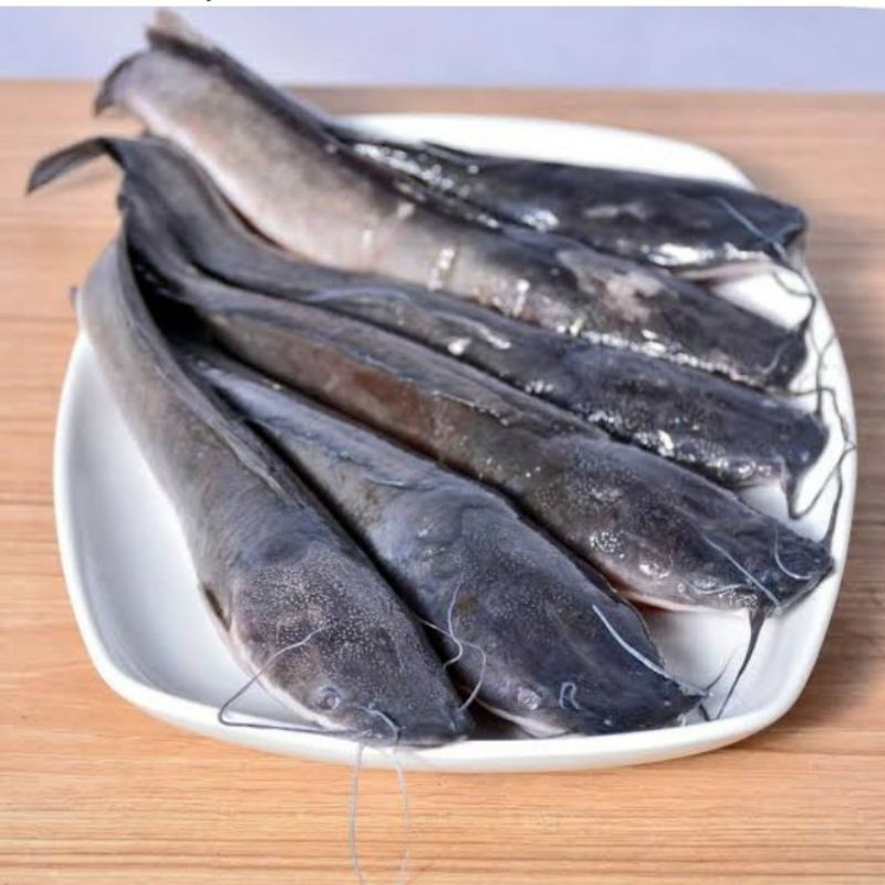 

Ikan Lele 500gram.