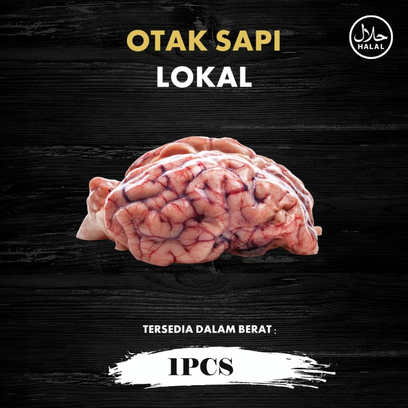 

OTAK SAPI LOKAL !!