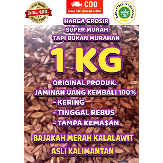 

( GROSIR )AKAR BAJAKAH MERAH ASLI KALIMANTAN 100 % ORIGINAL TAMPA KEMASAN