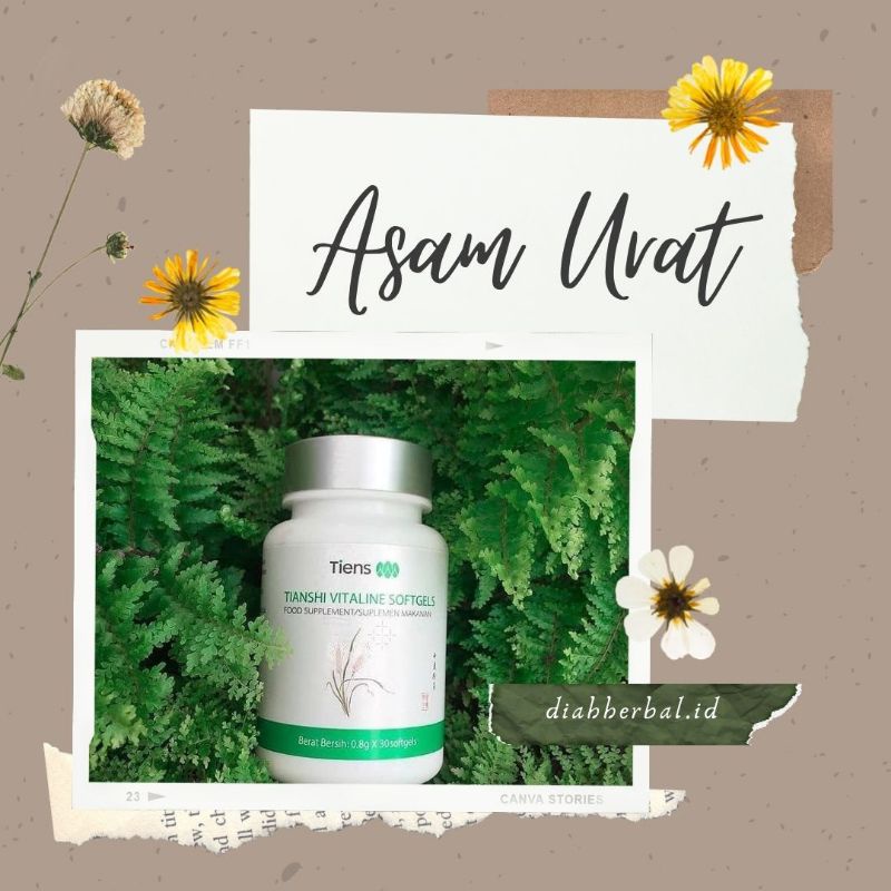Obat Asam Urat Vitaline Softgel Tiens