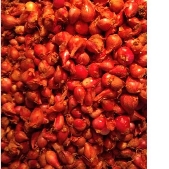 

Diskon!! (zxz-764) BAWANG MERAH